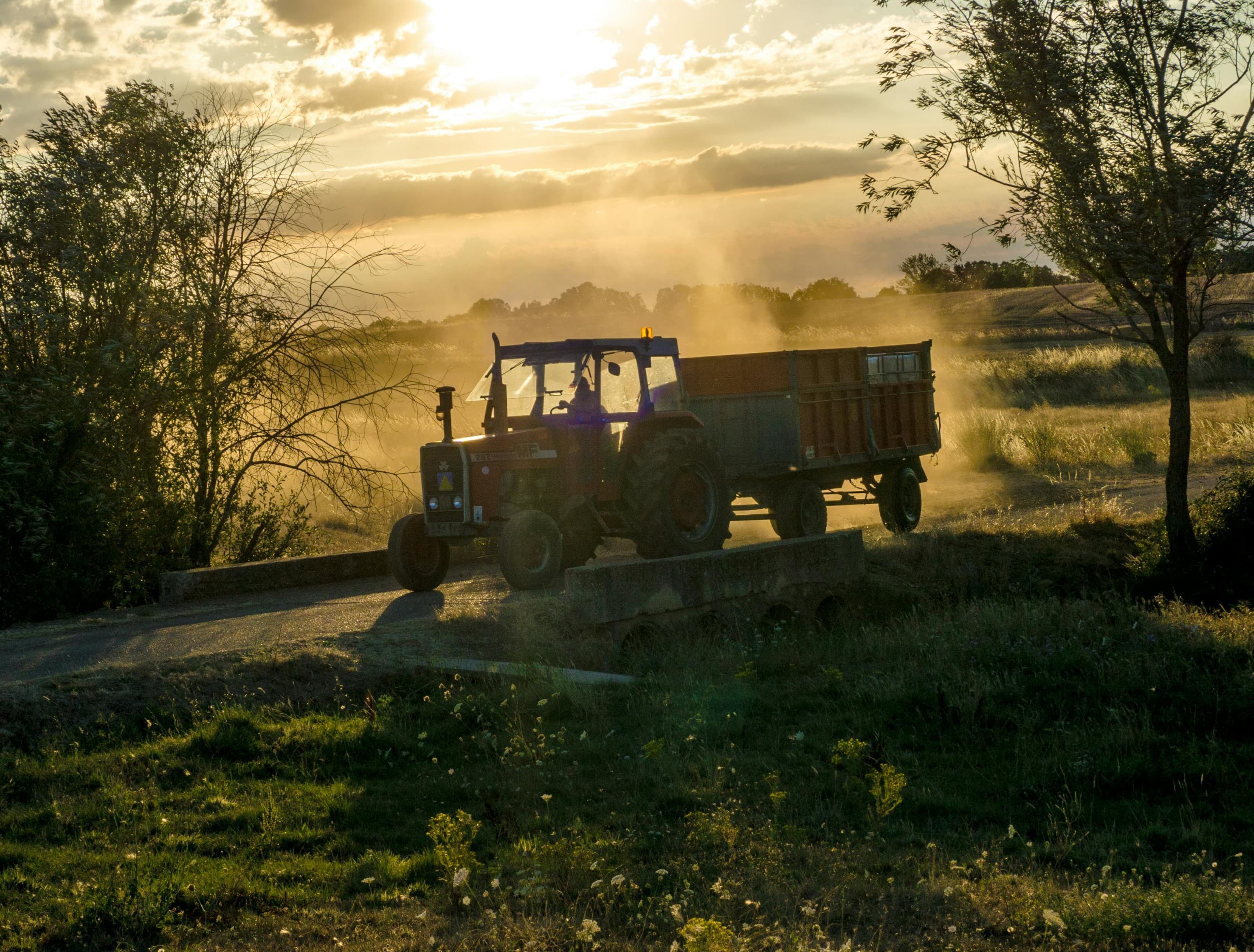 Farm